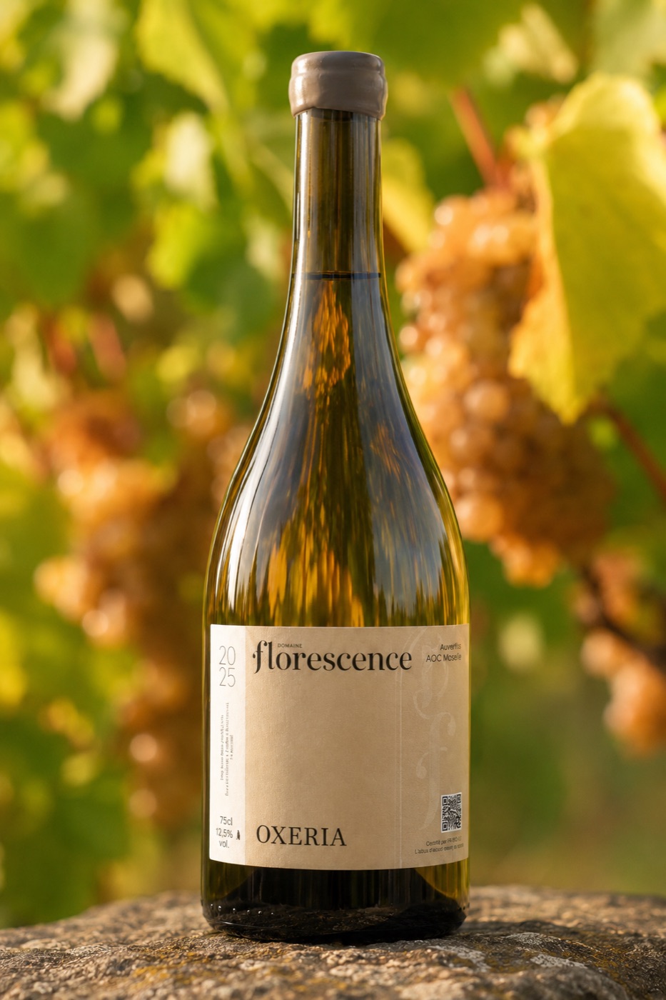 Cuvée Oxeria